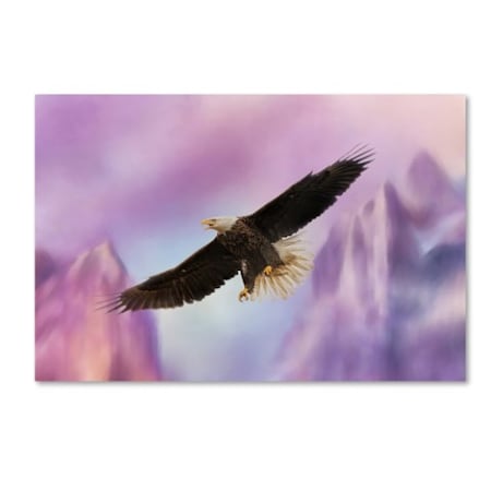Jai Johnson 'Over The Purple Mountains' Canvas Art,16x24